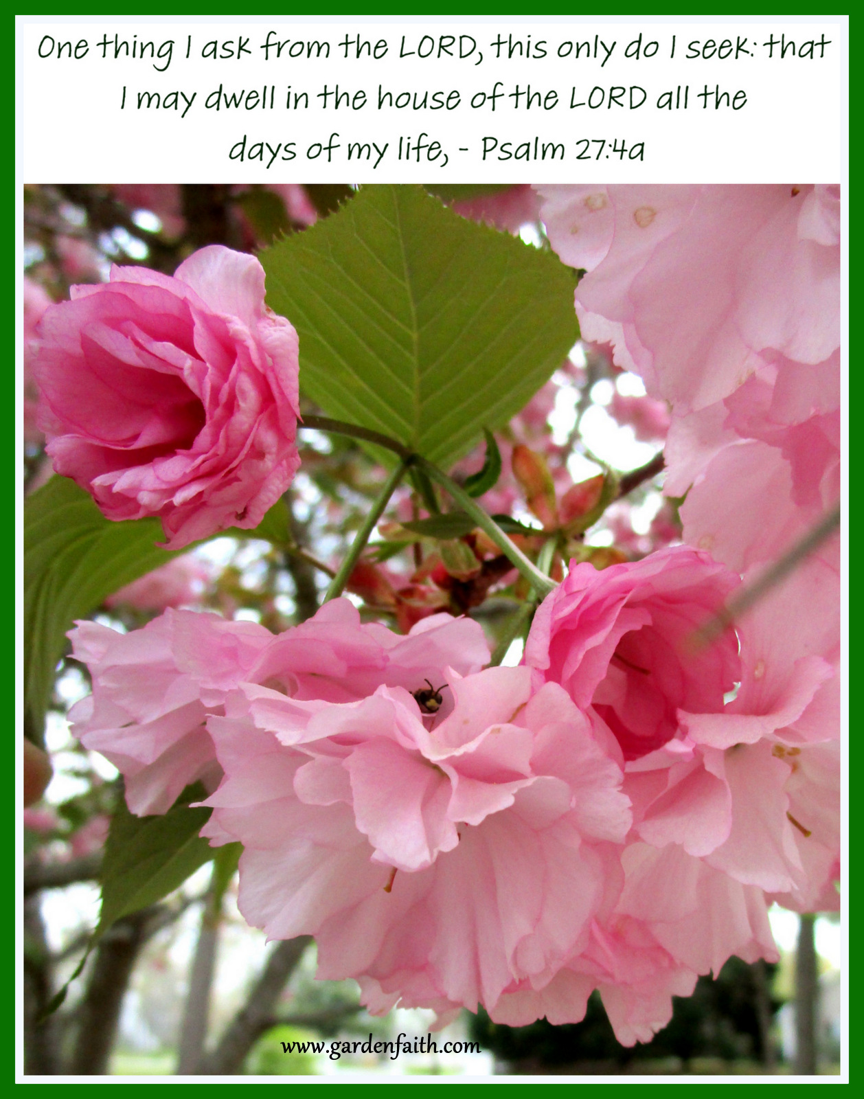 House of the Lord: Psalm 27:4-5  Garden Faith