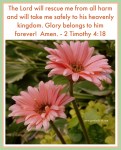 Garden Faith – Flowers, Faith, Scripture, and Praise.